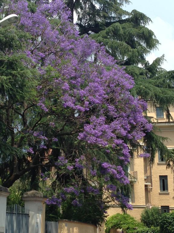 In Isole Pensión Roma